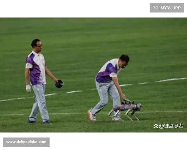 铁饼比赛器械落在角度线上歧视裁判将